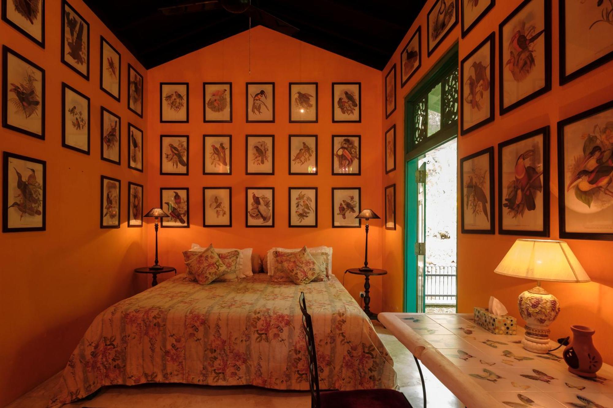 Casa Heliconia Hotel Gampaha Ngoại thất bức ảnh